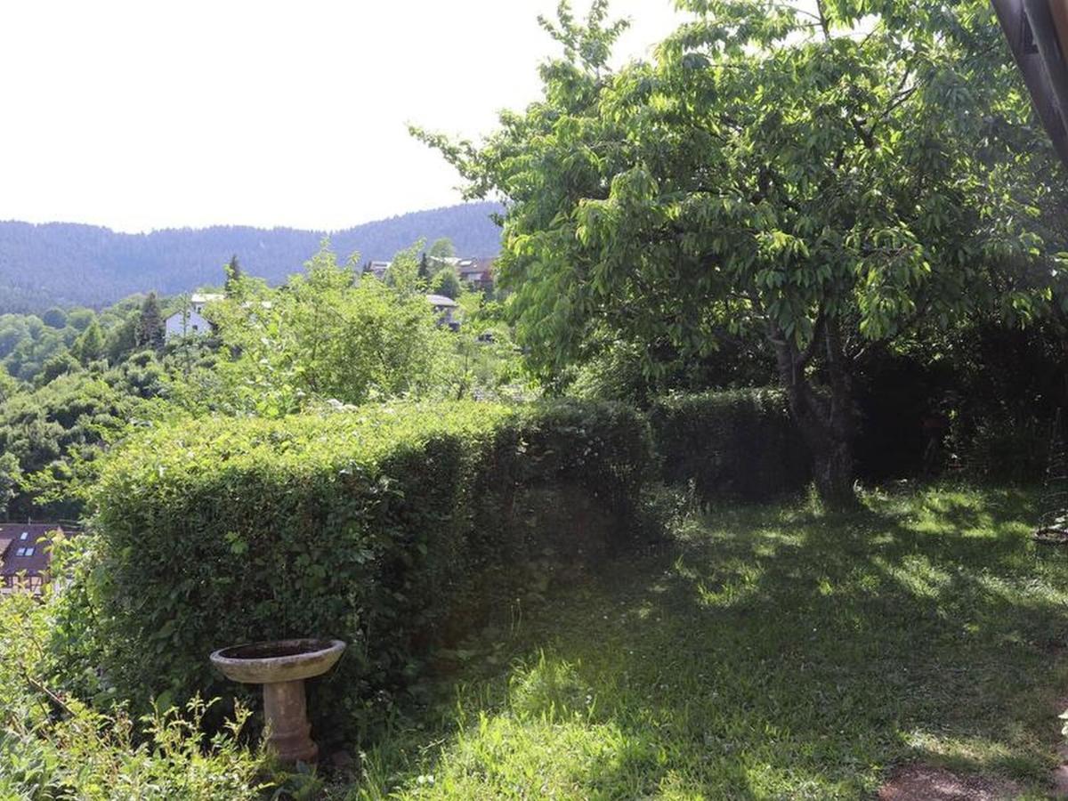 Haus Hoehneck 1 Alpirsbach Εξωτερικό φωτογραφία