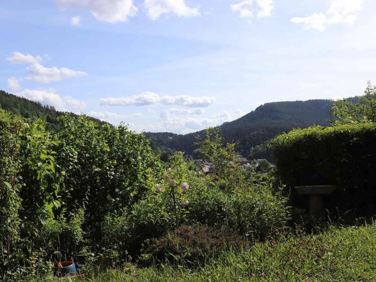 Haus Hoehneck 1 Alpirsbach Εξωτερικό φωτογραφία